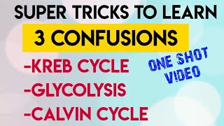 Trick To Learn KREB CYCLEGLYCOLYSISCALVIN CYCLE In One Video  Neet [upl. by Ramor]