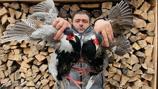 How To Cook PHEASANT Deliciously On A Fire In The Wild  The Best Bird Meat [upl. by Kass]