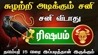 அடுத்த 15 நாள் எச்சரிக்கை ரிஷப ராசிக்கு சுழற்றி அடிக்கும் சனி நவம்பர் 15 வரை இப்படித்தான் ரிஷபம் [upl. by Harim]