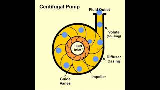 How does a Centrifugal pump work  Centrifugal pump working animation  Types of pump [upl. by Nosittam]