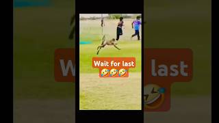 Monkey kick 🤣🤣 funnyshorts viraltiktok majedaarvideo [upl. by Miof Mela905]