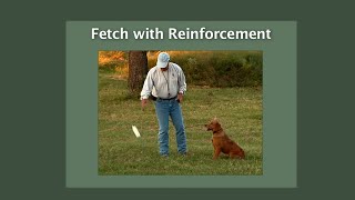 Bill Hillmann  Teaching the Fetch Command  Reinforcement with the Electric Collar [upl. by Notpmah]