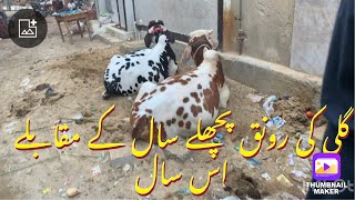 Galiyon ki ronaq is saal ki sab ko baqr Eid Mubarak [upl. by Ruford65]