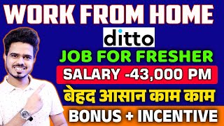 Ditto Hiring Work From Home Jobs 2024  Job For Freshers  Online Jobs  Ditto Remote Jobs [upl. by Irek569]