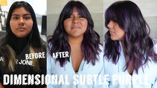 Hair Transformations with Lauryn Dimensional Subtle Violet Purple Hair Ep 159 [upl. by Lefton748]