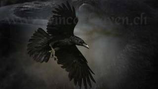 Raven  Flieg mein Rabe [upl. by Philpot]