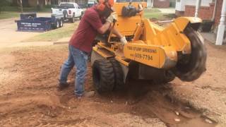 Stump grinding timelapse [upl. by Shurlocke]