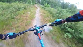 Castlewellan Mountain Bike Trails  Black Trail 50 to 37  Tommy Magnenat MTB [upl. by Doble]