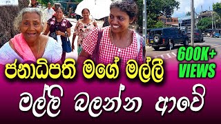 මගෙ නැන්දම්මගේ පුතා අනුර  දැක්කද වාහන දෙකයි  ඉස්සර චොපරුත් එනවා  ත්‍රීමලේ මිනිසුන් හඬමින් කියයි [upl. by Fisoi]