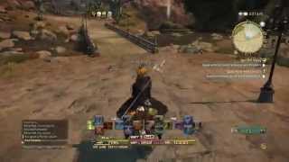 FFXIVEerie Barding Chocobo Showcase [upl. by Prent381]