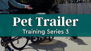 Pet Trailer Training Series  Introducing the Bike  Burley [upl. by Blinnie]