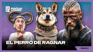 El perro de Ragnar [upl. by Longley]