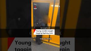 Young vandal caught spraying graffiti on Sydney train [upl. by Atinot168]