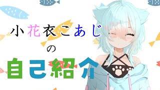 小花衣こあじの自己紹介【新人Vtuber】 [upl. by Arais731]