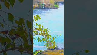 Fontaine du Vaucluse naturelovers nature [upl. by Aerdnas]