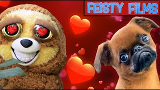 Feisty Pets In Love Compilation [upl. by Laurianne]