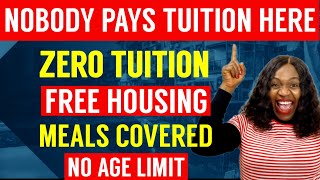 Move Here For Free  University With No Tuition Fees  Study Abroad Free  Free Education In Europe [upl. by Maro]