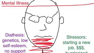 PTSD Diathesis Stress Model [upl. by Mharg500]