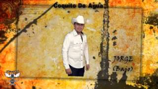 Coquito De Agua  CONJUNTO HURAKAN AlbumMujer Infiel 20142015 [upl. by Mlehliw132]