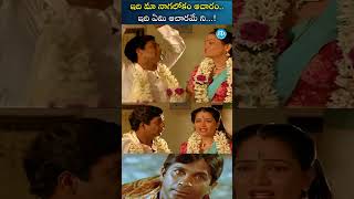 brahmanandam telugumovieclips jayalalita idreamhdmovies [upl. by Trainer]