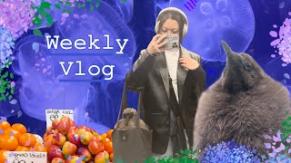 Melbourne vlog  ep 4 Aquarium Baking and Queen Victoria Market [upl. by Hammerskjold47]