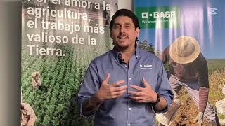 BASF INCURSIONA EN LA REALIDAD VIRTUAL PARA LA TRANSFERENCIA TECNOLÓGICA EN EL BANANO [upl. by Harman]