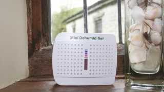 Cordless and Reusable Compact Dehumidifier [upl. by Bhayani]