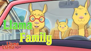 The Llama Family  Llama Llama Episode Compilation [upl. by Gilberta]