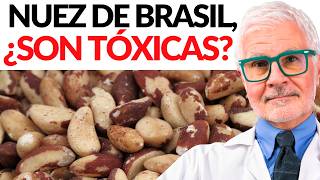 La NUEZ DE BRASIL ¿Beneficiosa o peligrosa  Dr Steven Gundry [upl. by Grega]