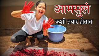 आमसुलं कशी तयार होतात  रातांबा  Kokum  Kokan [upl. by Norret]