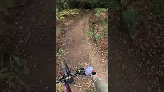 Blue View Glassie Bike Park MTB Trail Part 3 [upl. by Allemahs]