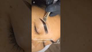 ✨ Aprende a dominar la laminación y henna de cejas y transforma tu pasión cejas laminacion henna [upl. by Henebry]