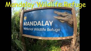 Mandalay National Wildlife Refuge [upl. by Laehpar169]