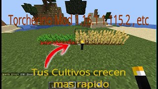 Acelera el crecimiento de los cultivos Torcherino Mod Minecraft 1161 1152 1132 112 Ninja403 [upl. by Adliwa]