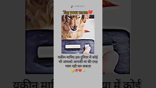 यकीन मानिए इस दुनिया में कोई भी आपको आपकी मां की तरह प्यार नहीं कर सकता viral shortvideo respect [upl. by Elonore]