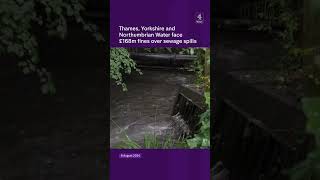 Thames Yorkshire and Northumbrian Water face £168m fines over sewage spills [upl. by Knepper220]