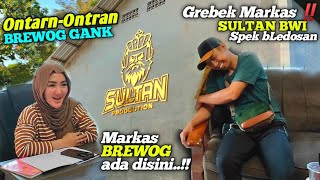 Gebrakan baru Brewog Gank‼️ Grebek Markas sultan Production Banyuwangi ternyata ada amunisi bledosan [upl. by Roderich817]