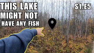 Fishing in Lakes that Might not Contain Fish  S1E5 [upl. by Mersey630]