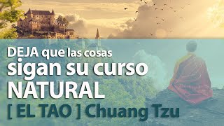 ☕ El TAO  el wu wei la inacción➤El principio del NO ACTUAR  Inspirado en Textos de el tao [upl. by Groveman490]