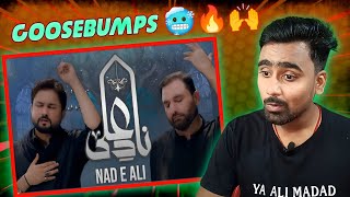 Indian Reacts To Nad e Ali  Syed Raza Abbas Zaidi  Shahid Baltistani  Indian Boy Reactions [upl. by Diver980]