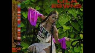 Lila Downs  Minimum Wage [upl. by Moonier]