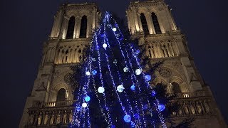 Notre Dame de Paris Noël 2017 La crèche provençale [upl. by Paine]