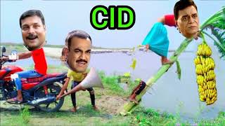 kacha kela kha geya  Cid new episode  acp vs Daya  latest episode Cid [upl. by Livesay]