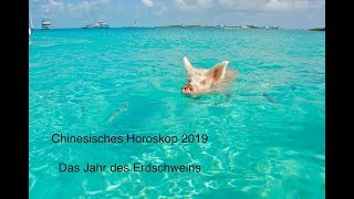 Chinesisches Horoskop 2019  Das Jahr des Erdschweins [upl. by Affer]