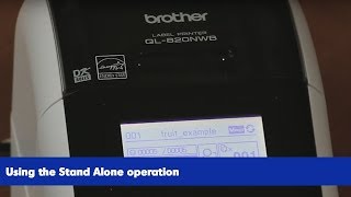 How to utilize Stand Alone operation on the Brother QL820NWB Label Printer [upl. by Alag]