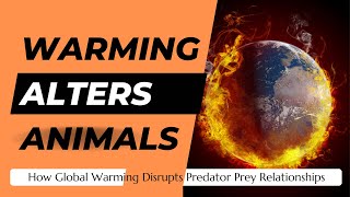 Ecosystems in Peril How Global Warming Disrupts Predator Prey Relationships [upl. by Ielerol]