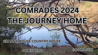 Comrades 2024 the return home [upl. by Kelby]