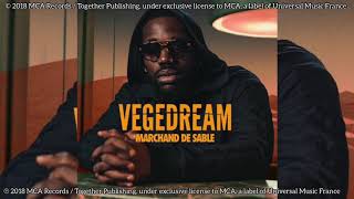 Vegedream  Tout casser Feat H Magnum Audio [upl. by Nauqahs48]