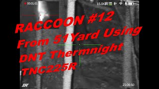 🦝RACCOON 12 vs DNT TNC225R THERMNIGHT🎯  51YDs raccoons ratting hunting airgun thermal DNT [upl. by Meggy]