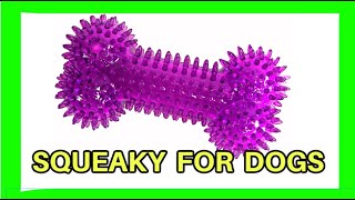 Squeaky toy dog toy [upl. by Fraase]